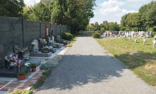 Kerítés bontása a Gesztenye