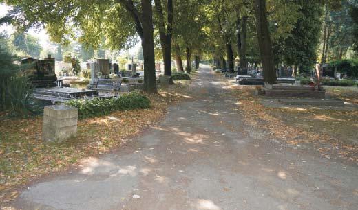 aszfalt útjainak felújítása.