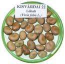 Vegetatív típusú, zöldtakarmány és siló céljára egyaránt alkalmas.