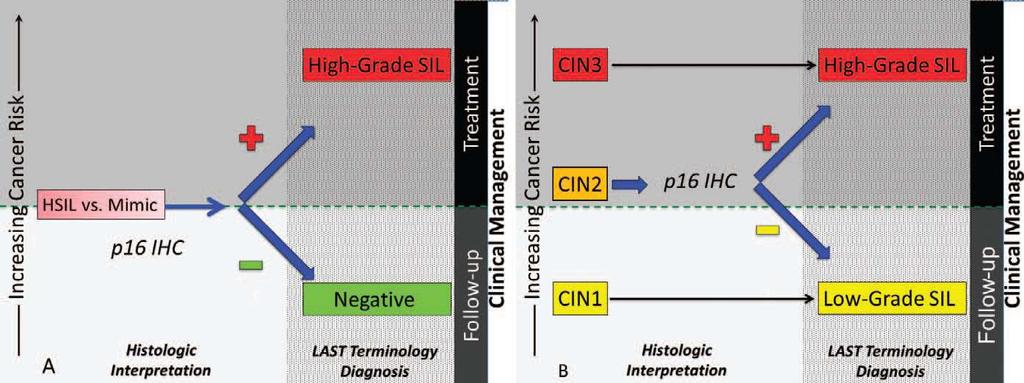 p16 biomarker Teresa M. et.