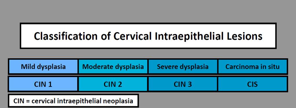 The Lower Anogenital Squamous Terminology Standardization Project for HPV-Associated Lesions: Background and Consensus Recommendations from the