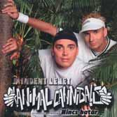 .. Nem fogjuk végigröhögni a lemezt, de rengeteg szép dallamot és mély érzést átélhetünk vele. Kellemes, de nem túl dinamikus album.