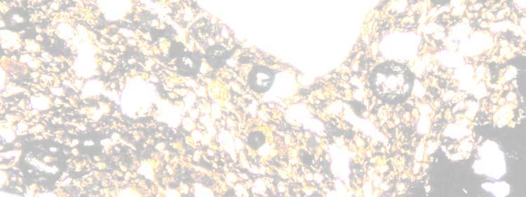 utolsó negyede, Szabó József Aggteleki barlang neolit és bronzkori cserepek mikroszkópos vizsgálata Tabán, kelta cserepek komplex vizsgálat Bohn Péter 1960-as évek Kémiai elemzések NAA módszerrel