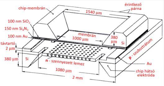 65 MIKROFON High Performance