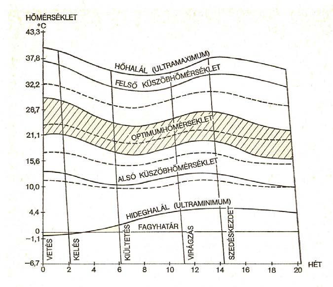 AZ ÉGHAJLATI ELEMEK HATÁSA A NÖVÉNYEKRE hőmérséklet 41,3 fok volt (Pécs 1950. július 4). A legmagasabb hőmérsékletek 35 és 40 fok között váltakoznak.