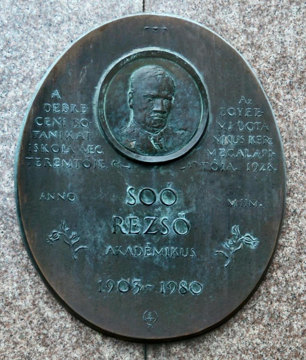 15. Dr.