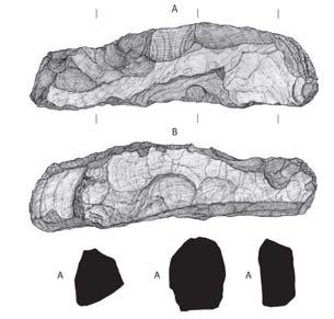 Acta Archaeologica Academiae