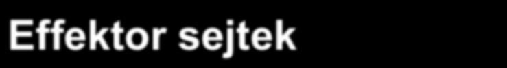 fertőzött sejtek - kémiailag módosított sejtek DTH Effektor sejtek citokin termeléssel: - T DTH sejtek = Th1 sejtek - Makrofágok Antigén a