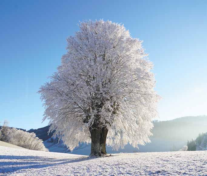 14 December 1. hete 15 Helyszín: tornaterem vagy csoportszoba. Eszközigény: szőnyeg, hosszú kötél.