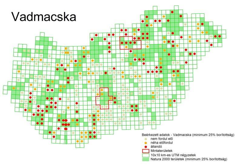 Emlős ragadozó fajok monitorozása Országos áttekintés valamennyi faj esetében (kérdőív); Vidra: a Mátrai területeken eddig nem ismert előfordulások bizonyítása Szőrcsapdázás: alacsony hatékonyság, de