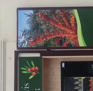 TERMELŐI BIO HOMOK- TÖVIS TERMÉKEK