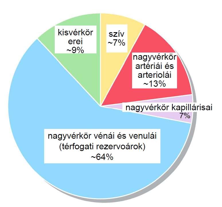 A fenti adatból nyilvánvaló, hogy a szervezetünkben nincsen minden kapilláris egyszerre nyitva, a szervek működésétől függően a vér különböző mértékben oszlik meg az egyes szervek között.