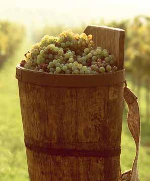 The earlier, huge local Jewish community, which was engaged, primarily, in the trading of wine, also left behind many memorials to their presence, which should also be visited.