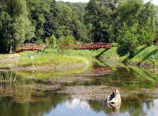 HOW TOO oxide factory at Almásfüzito was built on the banks of the Danube, close to the ruins. Since then we can only guess at what remains of the walls under the red sludge.