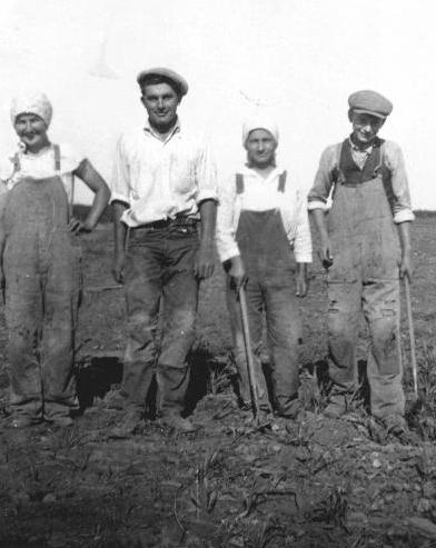 Cukorrépa-szedésen. (Jobbra Vígh Lajos, mellette Vígh Piroska.