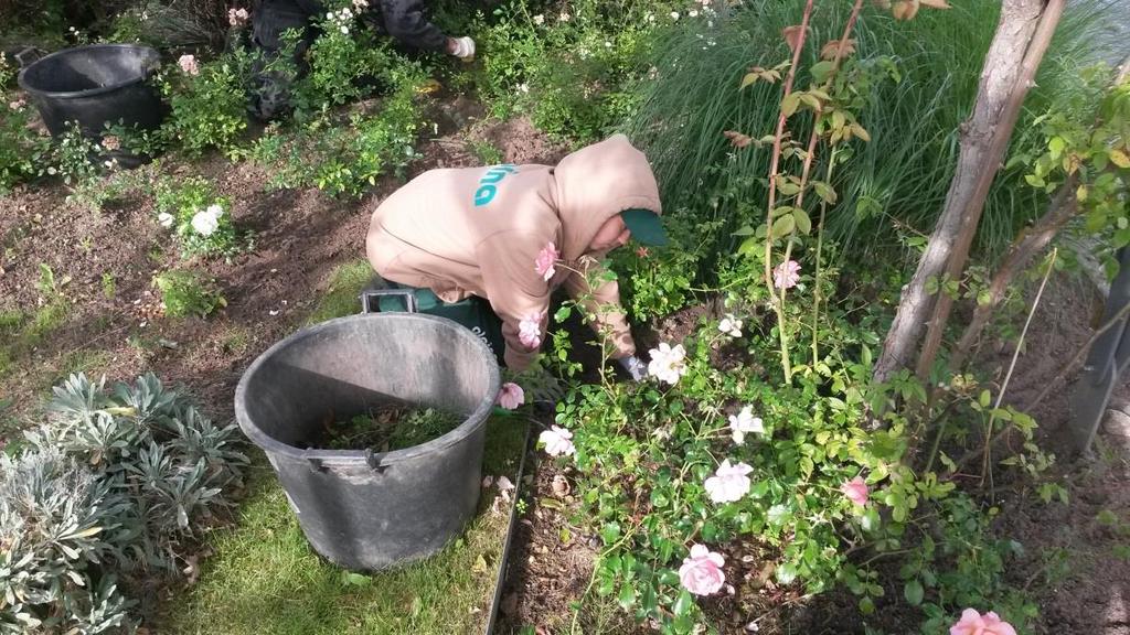 15.nap (vasárnap) Pihenőnap. A környéken sétáltunk. főztünk, és készülődtünk a holnapi munkanapra. 16.nap (hétfő) Időjárás: Reggel nagyon hűvös volt, kb. 15 Celsius fok volt a szél fújt.