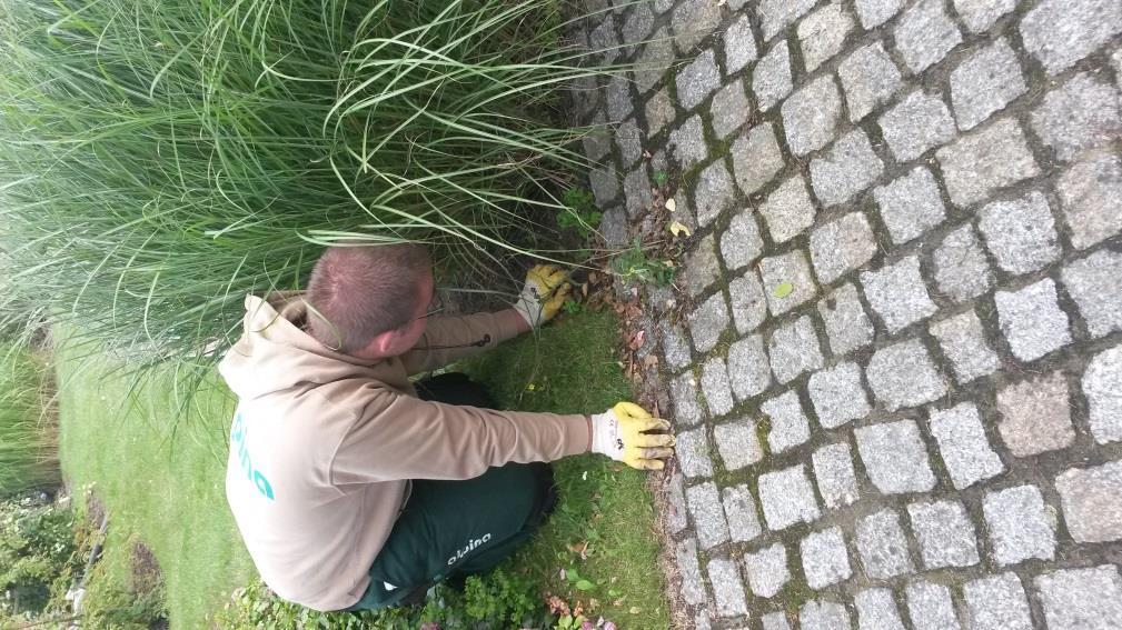17.nap (kedd) Időjárás: Reggel 17 Celsius fok volt. Borult volt az ég. Délelőtt esett az eső, délután sütött a nap. Ezen a napon a park útjait, járda szegélyeit tisztogattuk.