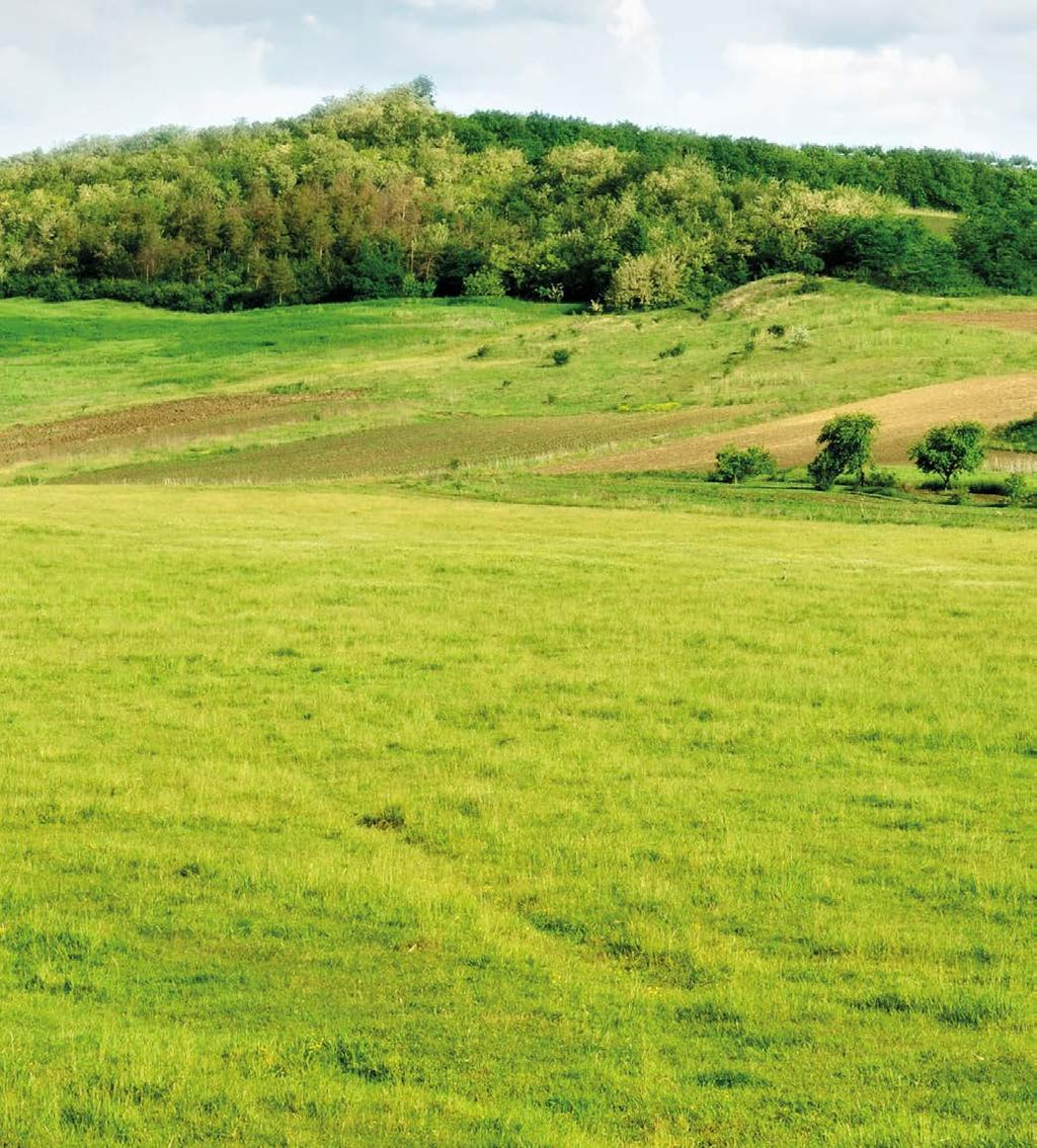 ZÖLDÍTÉS A GYAKORLATBAN GAZDÁLKODÓI