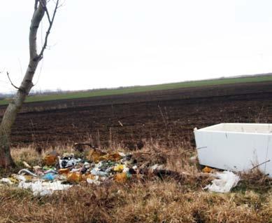 jelentőségű területen: elvégezni a parlagfű és más veszélyes gyomok elleni védekezést a jogszabályban