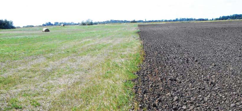 Amennyiben 5 év után egy terület állandó gyeppé válik és az adott terület a MePAR szerint NATURA 2000 terület is, úgy az környezeti szempontból érzékeny állandó gyeppé alakul.