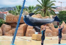 Calella a nyugat-európai turisták körében már évtizedek óta a Costa Del Maresme leglátogatottabb, legélénkebb nyaralóhelye.