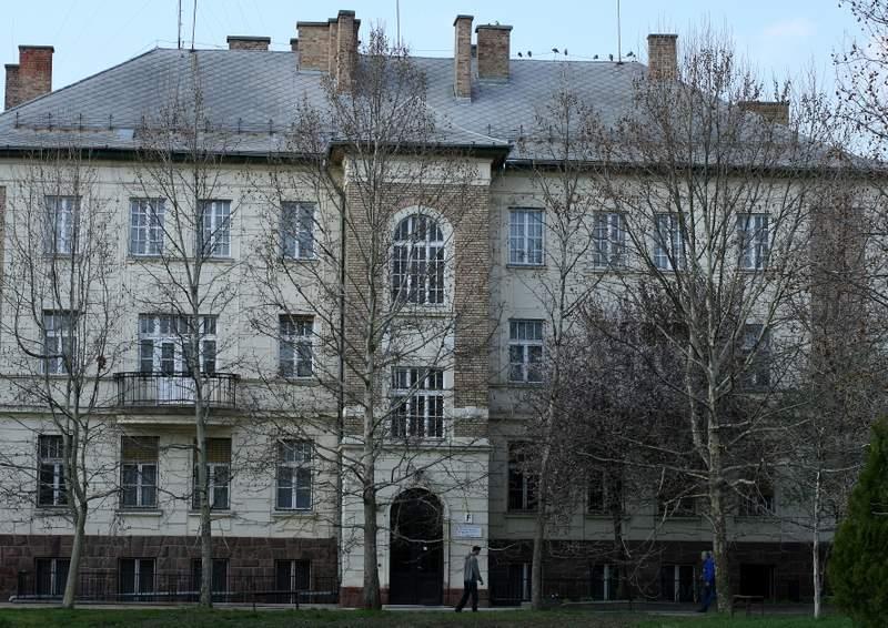 Azonnal hasznosítható gyakorlati tudással rendelkező kiváló emberi