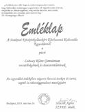 64 65 SZAKE elismerés A Leőweyért Alapítvány díjazott tanárai A Szakmai Középiskolásokért Közhasznú Kulturális Egyesület emléklappal köszönte meg Fülöp László tanár úr hosszú éveken át tartó segítő