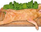 bőrös Malac egészben 5% 14-17 kg Akció Malac comb,