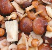 60x250 g Trópusi gyümölcs mix Gesztenye szemes Gyümölcsleves keverék