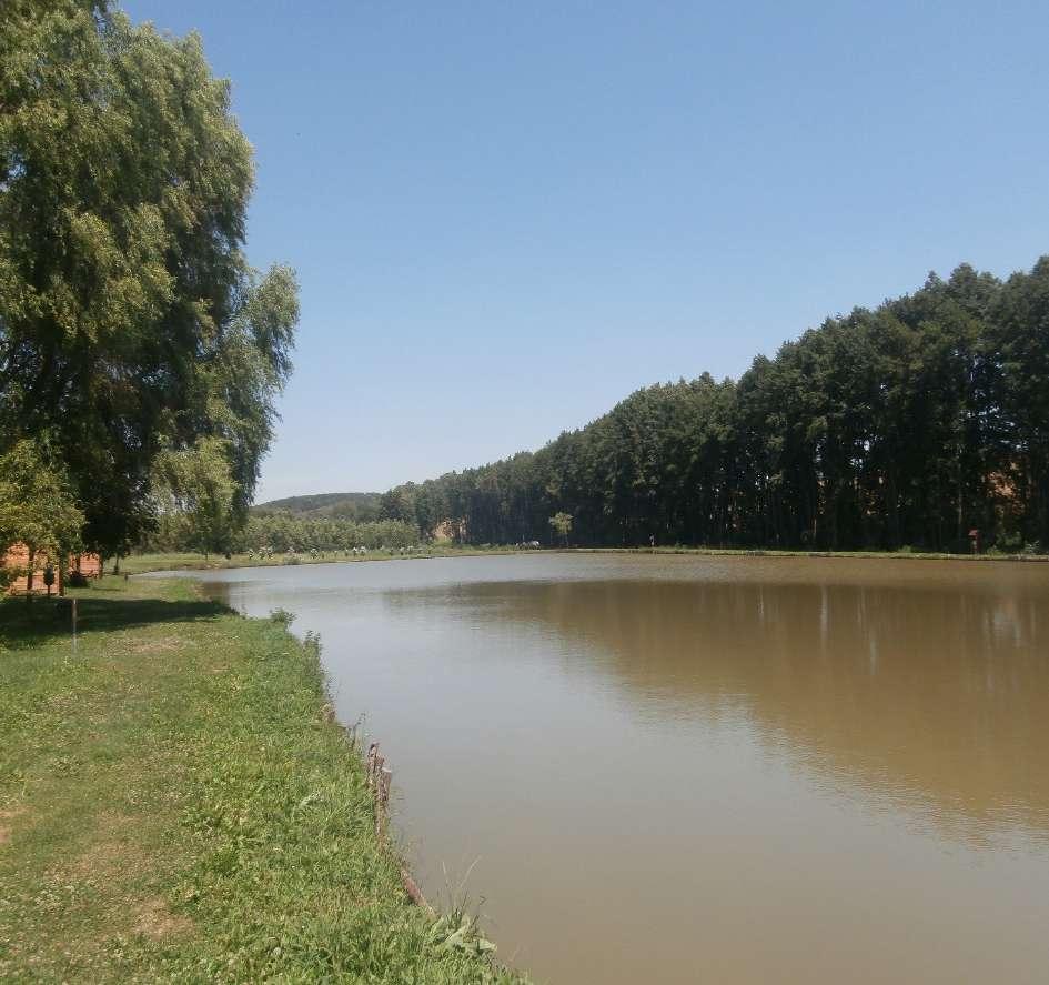 Pihenőhely Szabadidő park, Várfölde Várfölde központjában egy kellemes szabadidő park terül el, amely megfelelő kikapcsolódási helyet biztosít a helyieknek és a látogatóknak egyaránt.