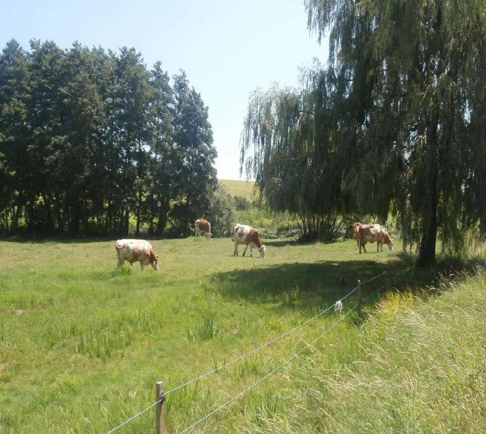 Külterületi, beépítésre nem szánt terület: A település külterületi, beépítetlen mezőgazdasági- és erdő-területeit foglalja magába. Itt csak foltszerűen találunk beépítést.