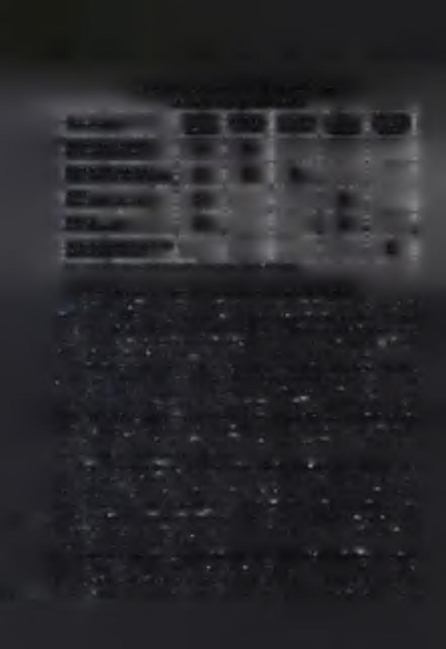 A személyzet képesítési követelményei Tervezett új képzési rendszer Á llo m á n y c so p o r t B v. felü g y. sz a k k é p z. e lső 6 hete B v. felü g y. sz a k k é p z. B v. fő fe lü g y.
