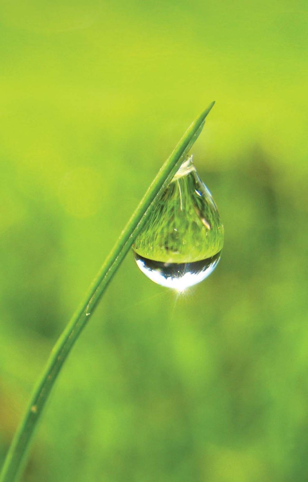 FENOXIHERBICIDEK A NÖVÉNYVÉDELEMBEN