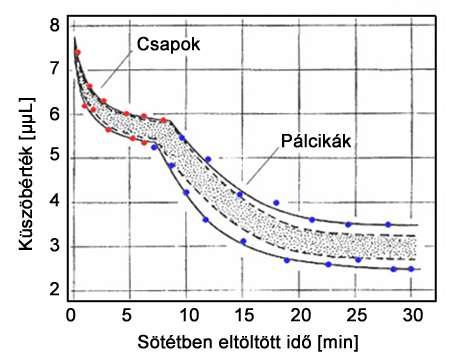 Sötét