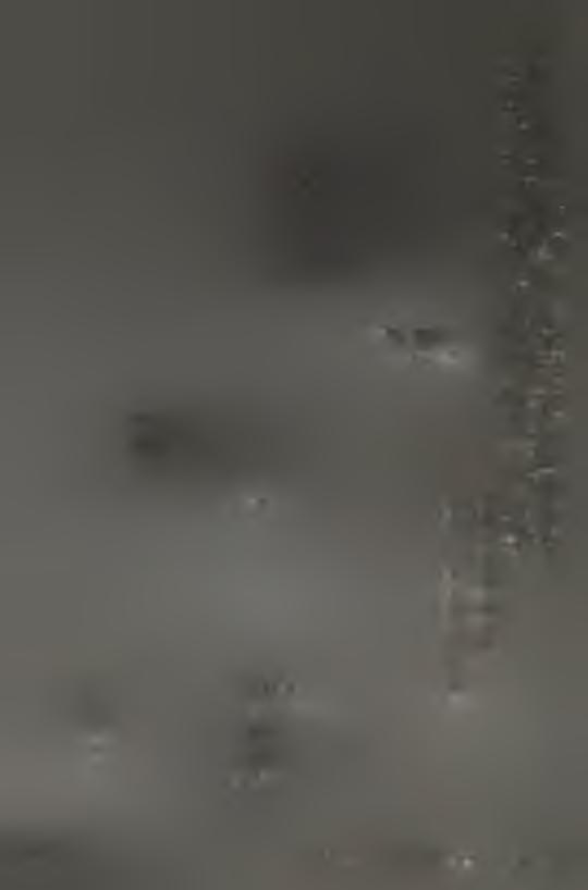 ^ cd +з a ^ * ff) и Ц : -ö Э 5 ^ С 2 5 'О ft' Й g &Л ^ C ^ N Í J... 3.. S S 2 í «2 n 2 ft I g.2 g.2.*.2» S?