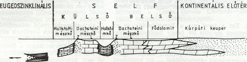 a felső Infrabukovinai-takaróknak a fentebb em lített arlbergi mészkőhöz hasonló ősföldrajzi helyzetű bitum enes dolomitja következik, míg az alsó Infrabukovinai-takarók üledékképződési tarto m ánya