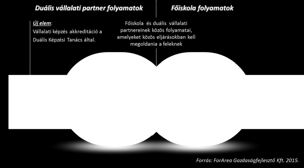 Felsőfokú duális képzés Vállalati Fehér Könyv 7. ábra: A és duális partnereinek duális képzési folyamatai 4.2.