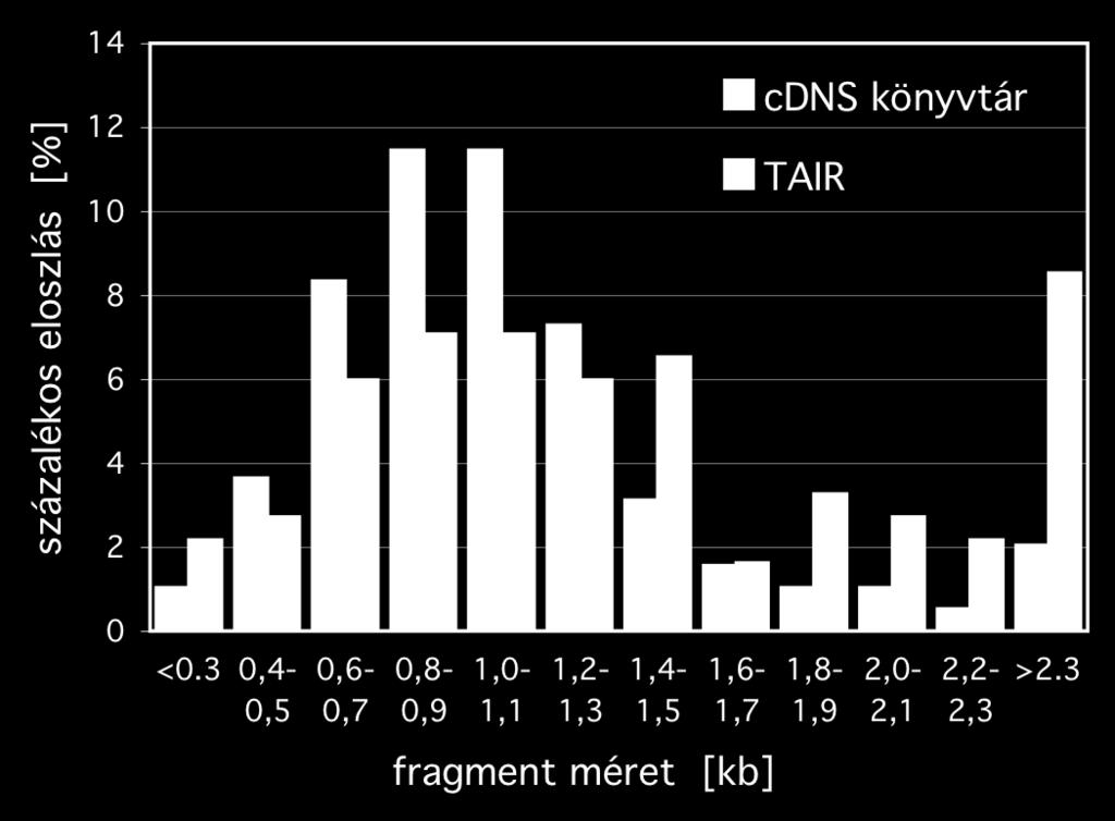 A kiválasztott TAIR cdns-ek listája megtalálható a Függelékben (F2. táblázat).