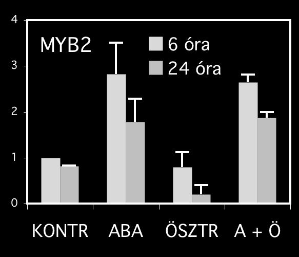 viszonyított mrns szint ABS ABS ABS 20. ábra. A MYB2, MYC2 és RD22 mrns mennyiségének változása az ABS és ösztradiol kombinált kezelés hatására az ADH/121 vonalban.