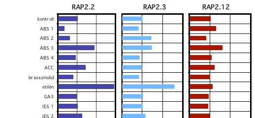 EREDMÉNYEK 5.4.11 A RAP2.2. RAP2.3 és RAP2.