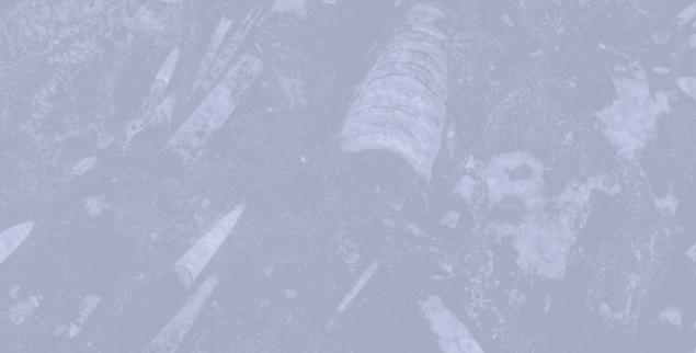 Békéscsabai SZC Kós Károly Építő-, Fa- és Szolgáltatóipari Szakgimnáziuma és Szakközépiskolája SZAKGIMNÁZIUM (8. osztály után; 4+1 év): 501.