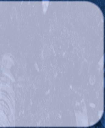 hu NYILVÁNTARTÁSI SZÁM: E-001278/2015 A BSZC tagiskoláiban az iskolarendszerben oktatott szakképesítések iskolarendszeren kívüli keretek között is indítjuk, kellő számú jelentkező esetén.