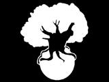 VZDELÁVANIE VODCOVSKÁ LESNÁ ŠKOLA BAOBAB Priatelia spod stromu Vodcovská lesná škola Baobab vznikla už v roku 2000.