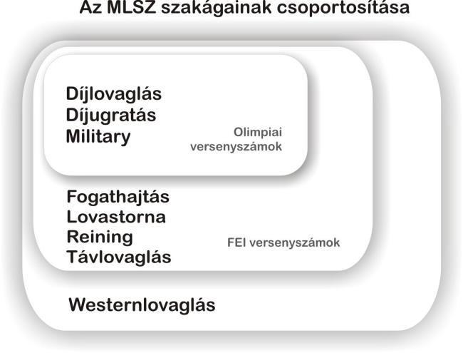 (egyesületi) tagság valamely MLSZ-ben nyilvántartással rendelkező Sportszervezetben Érvényes MLSZ Tagsági Igazolvány, amelyben benne van a nyilvántartásba vételt igazoló szövetségi pecsét + érvényes