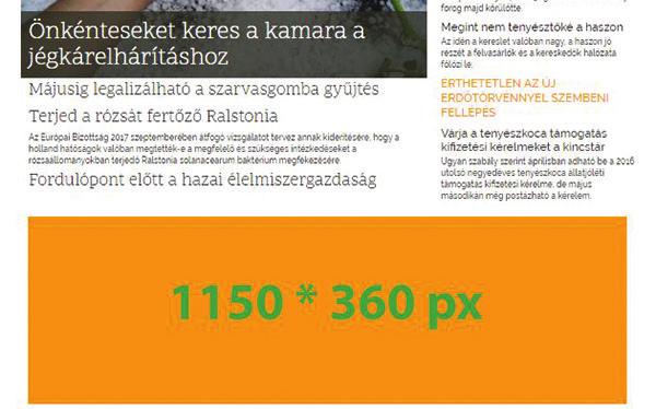 MEGJELENÉSI LEHETŐSÉGEK A MAGYARMEZOGAZDASAG.HU HÍRPORTÁLON 1 BANNERHIRDETÉS Kezdőoldalon (url: www.magyarmezogazdasag.hu) *0.