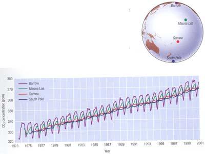 közvetlen mérésekből: A CO 2 átlagos koncentrációjának változása az elmúlt 30 évben A
