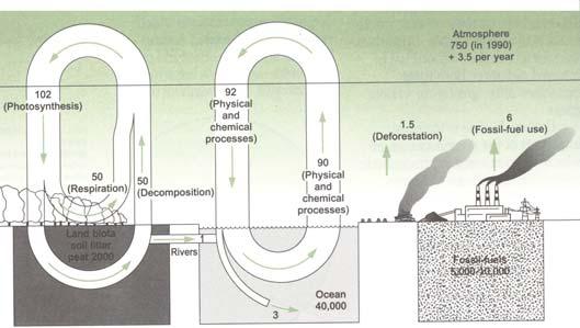 1 mrd t] légkör (207 Gt) légzés (állat + növény) (200 Gt) vulkanikus kibocsátás antropogén