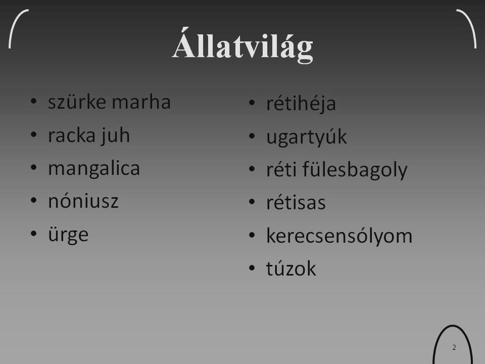 5. A dia alcímének az Ismeretterjesztő előadás szöveget gépelje be! Az alcím dőlt betűstílusú 36 pont méretű RGB(20,5,70) színkódú sötétkék színű! 6.