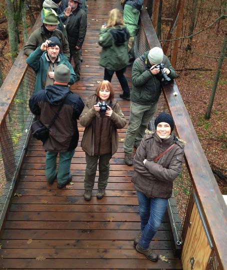 11 Fekvő holtfa, Maros-ártér, Románia Ártéri keményfa-ligeterdők; Maros-ártér Natúrpark, Románia Konferencia utáni szakmai eszmecserék