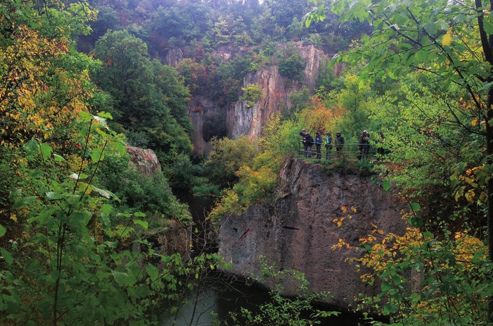 1 Magyarországi Natura 2000 erdők helyzetkép A magyarországi Natura 2000 erdők kezelését számos kihívás teszi összetett feladattá.